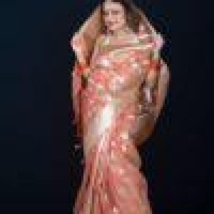 Viscose Tissue Saree
