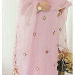 Parsi French knot Hand embroider Multi pink Suit