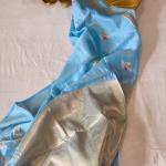 Pastel Blue Colour/English Blue Shade Mango Silk Saree